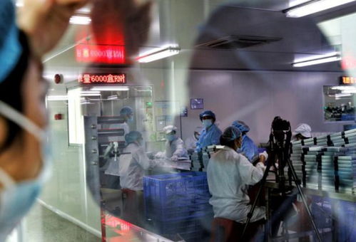 五年助推50個億級新品牌，拼多多新品牌計劃引領化妝品國貨崛起